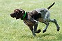 slides/0022_080608-038_DSC_0197.jpg Running...
