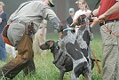 slides/0024_080914-007_DSC_1994.jpg  0024_080914-007_DSC_1994