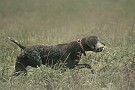 slides/0024_080914-008_DSC_1997.jpg  0024_080914-008_DSC_1997