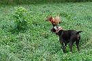 slides/0024_080914-020_DSC_2036.jpg  0024_080914-020_DSC_2036