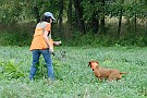 slides/0024_080914-022_DSC_2038.jpg  0024_080914-022_DSC_2038