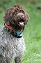 slides/0024_080914-033_DSC_2075.jpg  0024_080914-033_DSC_2075