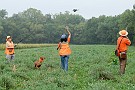 slides/0024_080914-036_DSC_2081.jpg  0024_080914-036_DSC_2081