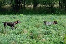 slides/0024_080914-039_DSC_2105.jpg  0024_080914-039_DSC_2105