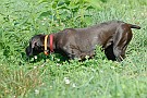 slides/0024_080914-042_DSC_2113.jpg  0024_080914-042_DSC_2113