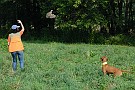 slides/0024_080914-045_DSC_2127.jpg  0024_080914-045_DSC_2127