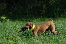 slides/0024_080914-046_DSC_2133.jpg  0024_080914-046_DSC_2133