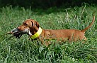 slides/0024_080914-047_DSC_2136.jpg  0024_080914-047_DSC_2136