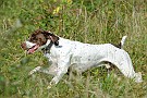 slides/0024_080914-052_DSC_2153.jpg  0024_080914-052_DSC_2153