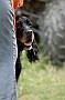 slides/0023_080919-010_DSC_2313.jpg  0023_080919-010_DSC_2313