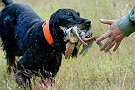 slides/0023_080919-013_DSC_2322.jpg  0023_080919-013_DSC_2322