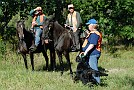 slides/0023_080919-018_DSC_2352.jpg  0023_080919-018_DSC_2352