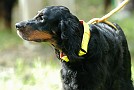 slides/0023_080919-029_DSC_2382.jpg  0023_080919-029_DSC_2382