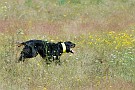slides/0023_080919-030_DSC_2386.jpg  0023_080919-030_DSC_2386