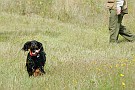 slides/0023_080919-032_DSC_2390.jpg  0023_080919-032_DSC_2390
