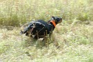 slides/0023_080919-038_DSC_2405.jpg  0023_080919-038_DSC_2405