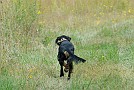 slides/0023_080919-039_DSC_2410.jpg  0023_080919-039_DSC_2410