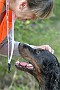 slides/0023_080919-040_DSC_2419.jpg  0023_080919-040_DSC_2419