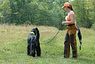 slides/0023_080919-041_DSC_2421.jpg  0023_080919-041_DSC_2421