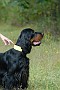 slides/0023_080919-042_DSC_2424.jpg  0023_080919-042_DSC_2424
