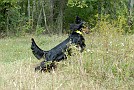 slides/0023_080919-045_DSC_2438.jpg  0023_080919-045_DSC_2438