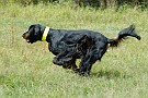 slides/0023_080919-048_DSC_2448.jpg  0023_080919-048_DSC_2448