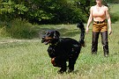 slides/0023_080919-049_DSC_2452.jpg  0023_080919-049_DSC_2452