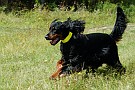 slides/0023_080919-050_DSC_2455.jpg  0023_080919-050_DSC_2455