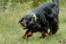 slides/0023_080919-052_DSC_2475.jpg  0023_080919-052_DSC_2475