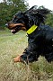 slides/0023_080919-060_DSC_2524.jpg  0023_080919-060_DSC_2524