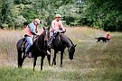 slides/0023_080919_016_47610029.jpg  0023_080919_016_47610029