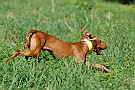 slides/0025_080920-016_DSC_2618.jpg Quartering