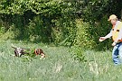 slides/0025_080920-017_DSC_2623.jpg Retrieving