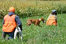 slides/0025_080920-025_DSC_2667.jpg The retrieve.