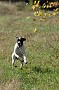 slides/DSC_3256_20081018-004.jpg Breakaway