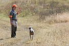 slides/DSC_3310_20081018-014.jpg  And trotting past the other handler, who is indicting that his dog (just off camera) is on point.