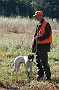 slides/DSC_3361_20081019-034.jpg  The bracemate - a Pointer - is also gathering his thoughts.