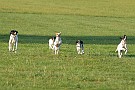 slides/0027_081109-004_DSC_3713.jpg  0027_081109-004_DSC_3713
