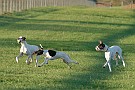 slides/0027_081109-005_DSC_3715.jpg  0027_081109-005_DSC_3715