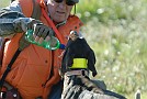 slides/0027_081109-009_DSC_3726.jpg  0027_081109-009_DSC_3726