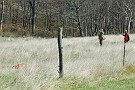 slides/0027_081109-013_DSC_3735.jpg  With a Vizsla on point, a handler talks to a gunner about their approach to the field.