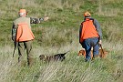 slides/0027_081109-016_DSC_3753.jpg  The GSP has the next point, and his handler explains how he'll flush the bird.