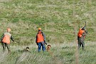 slides/0027_081109-017_DSC_3754.jpg  And just as planned, the chukar breaks into the wind. Both dogs turn to mark the bird.