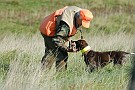 slides/0027_081109-021_DSC_3765.jpg  Right to hand. Good dog.