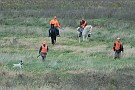 slides/0027_081109-030_DSC_3795.jpg  Judges, gunner, handler, and a dog in contention enter the bird field.