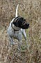 slides/0027_081109-038_DSC_3838.jpg  0027_081109-038_DSC_3838