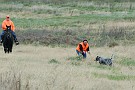 slides/0027_081109-040_DSC_3846.jpg  Setter on retrieve.