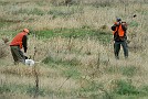 slides/0027_081109-053_DSC_3893.jpg  And it turns out it was a quail. Rough watches the flush.