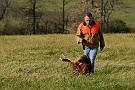 slides/0027_081109-066_DSC_3954.jpg  Coming up out of the Junior Hunt Test bird field.
