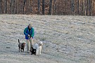 slides/0028_081206-000_DSC_4128.jpg  0028_081206-000_DSC_4128